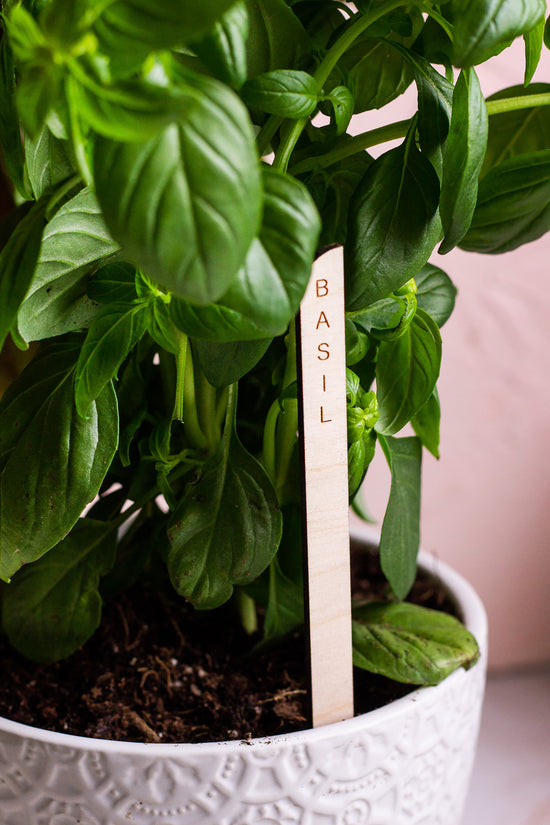 Minimal Wooden Plant Markers