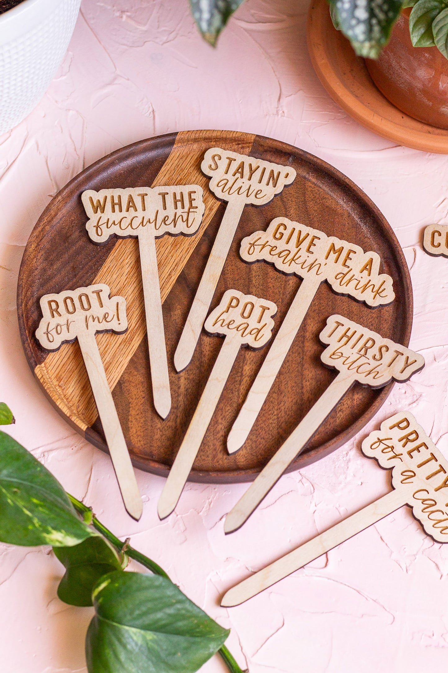 Funny Script Wooden Plant Markers