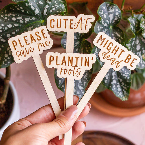 Load image into Gallery viewer, Funny Script Wooden Plant Markers

