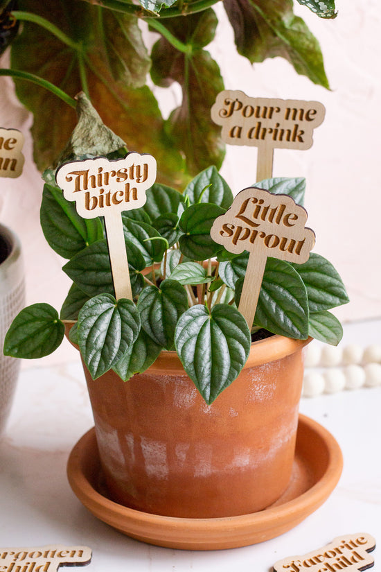 Funny Wooden Plant Markers