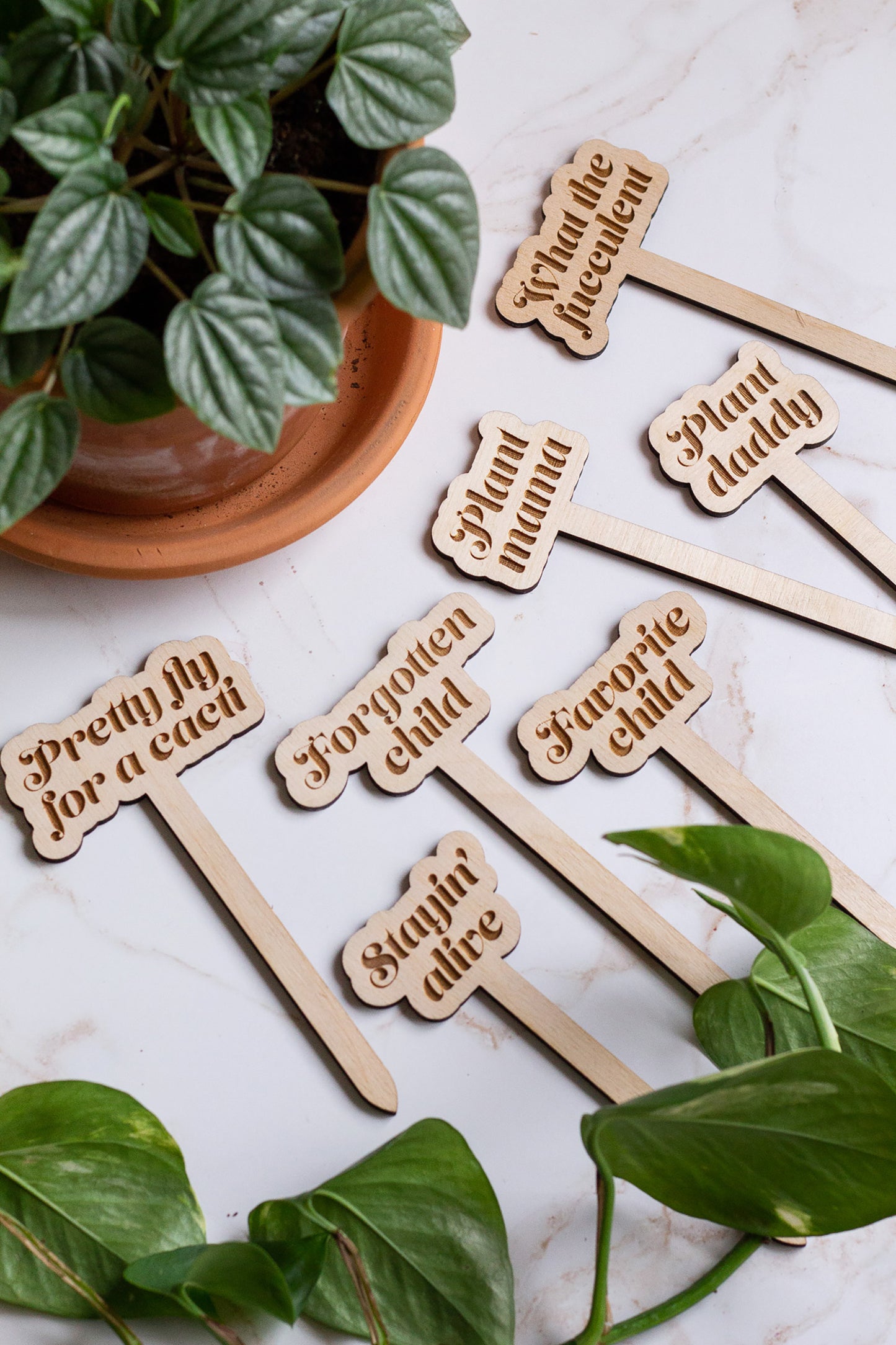 Funny Wooden Plant Markers