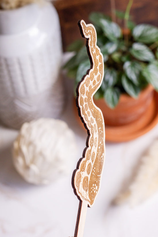Tentacle Wooden Plant Stake