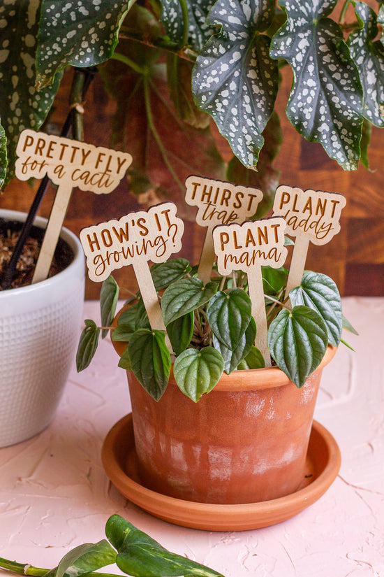 Funny Script Wooden Plant Markers