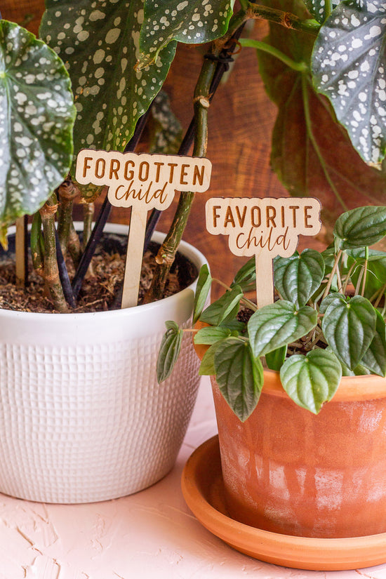 Funny Script Wooden Plant Markers