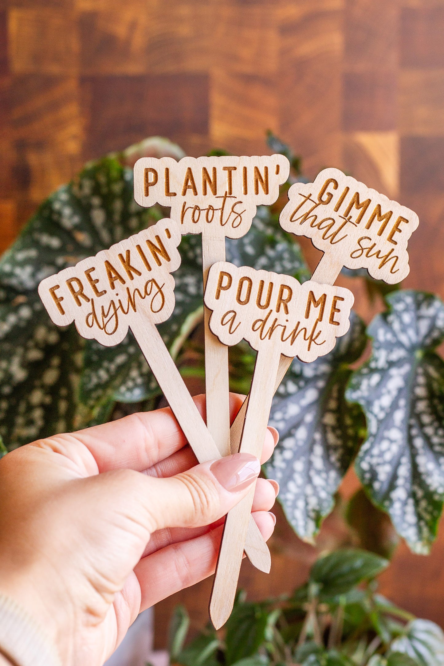 Load image into Gallery viewer, Funny Script Wooden Plant Markers
