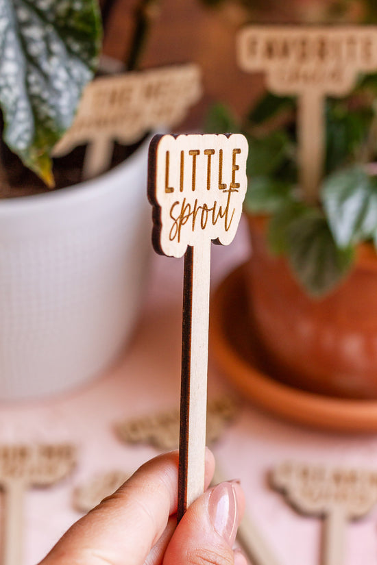 Funny Script Wooden Plant Markers