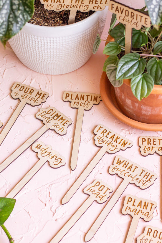 Funny Script Wooden Plant Markers