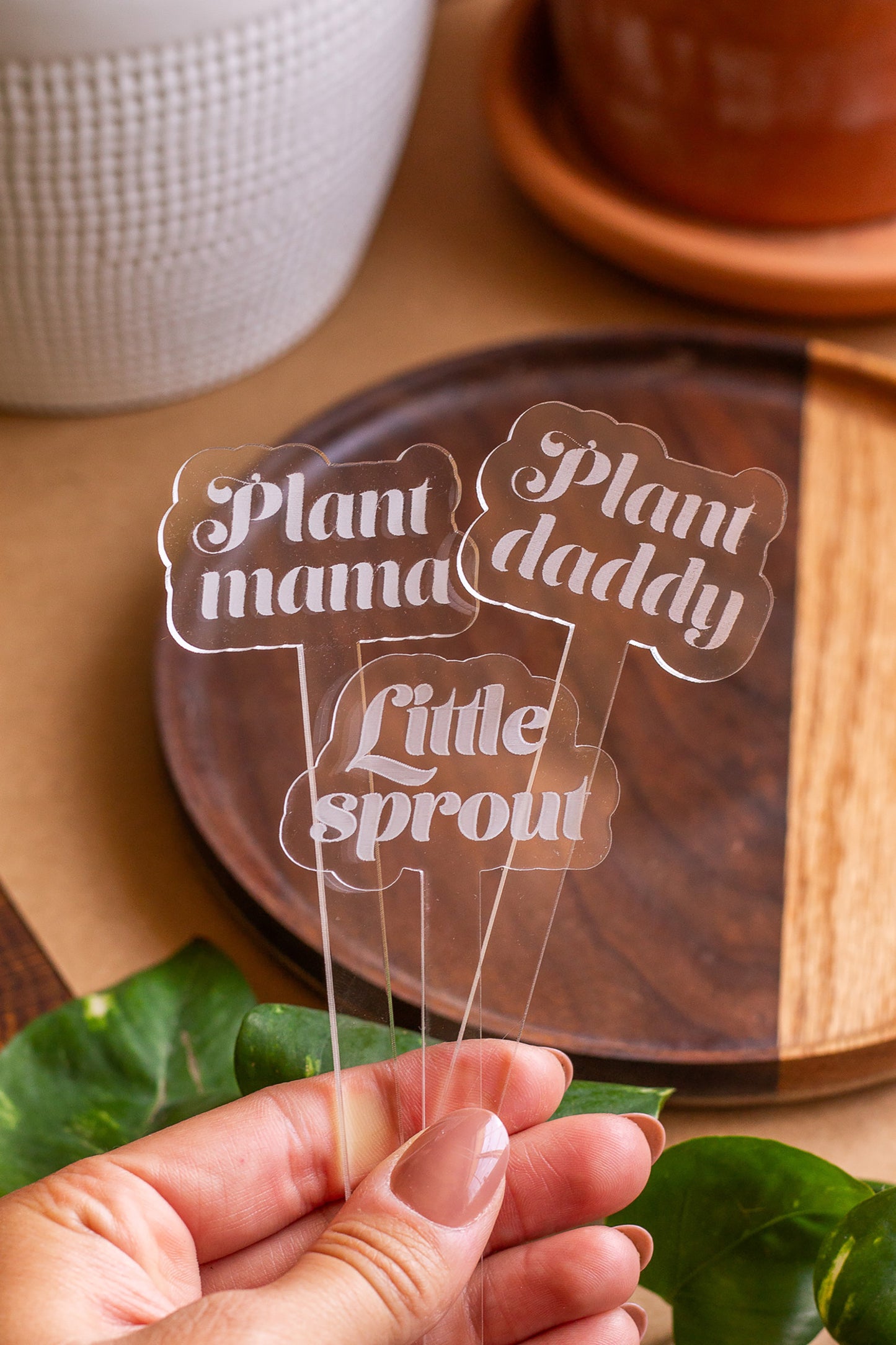 Funny Acrylic Plant Markers
