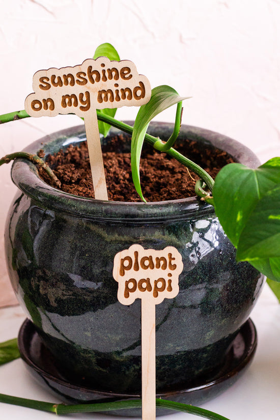wooden plant markers