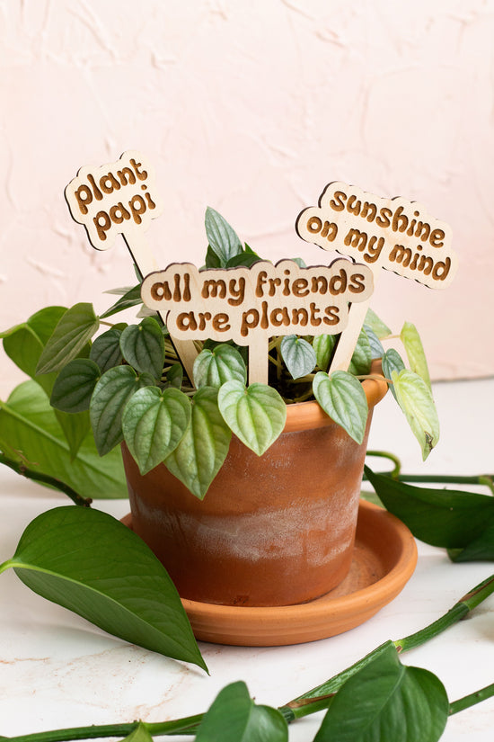 indoor plant quotes Retro Funny Wooden Plant Markers – The Print Pantry
