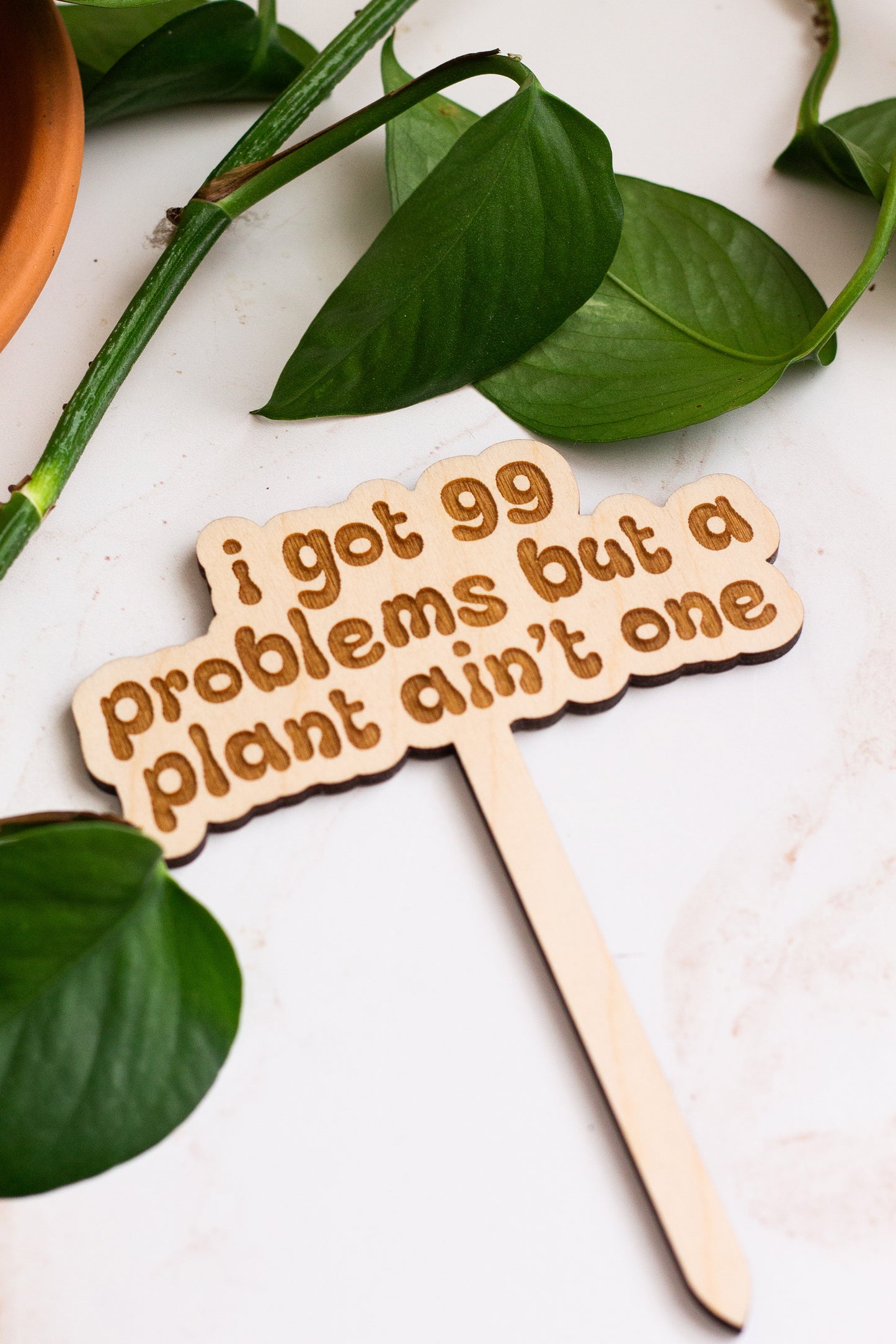 Wooden plant markers