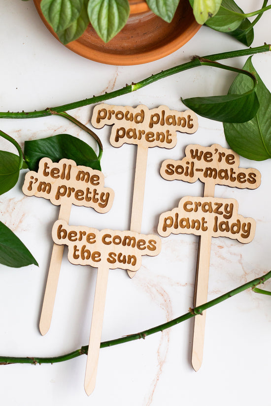 funny plant gifts