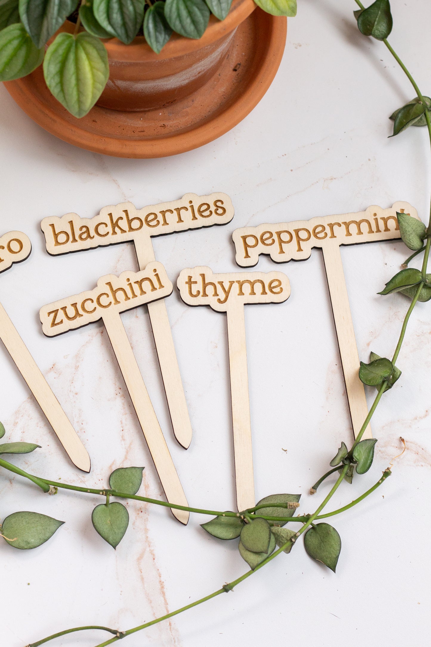 Wooden Plant Markers