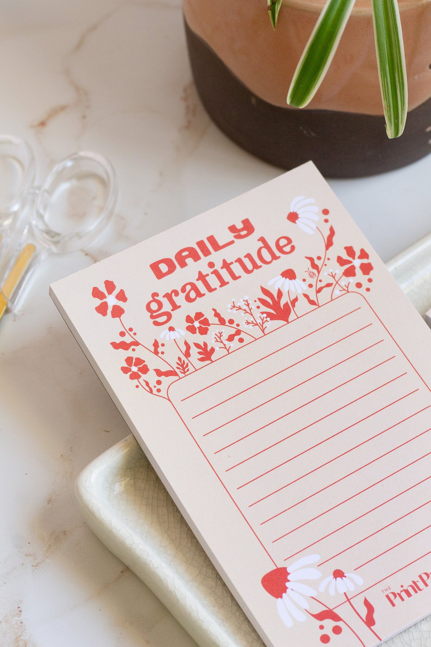 Daily Gratitude Practice 