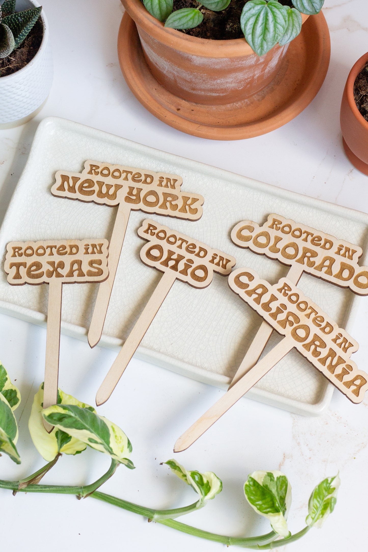 Wooden Plant Markers