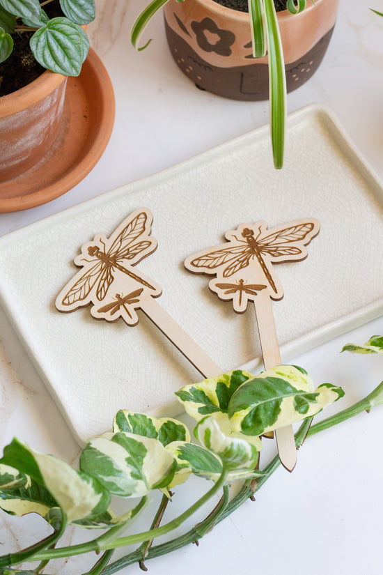 Dragonfly Plant Accessory