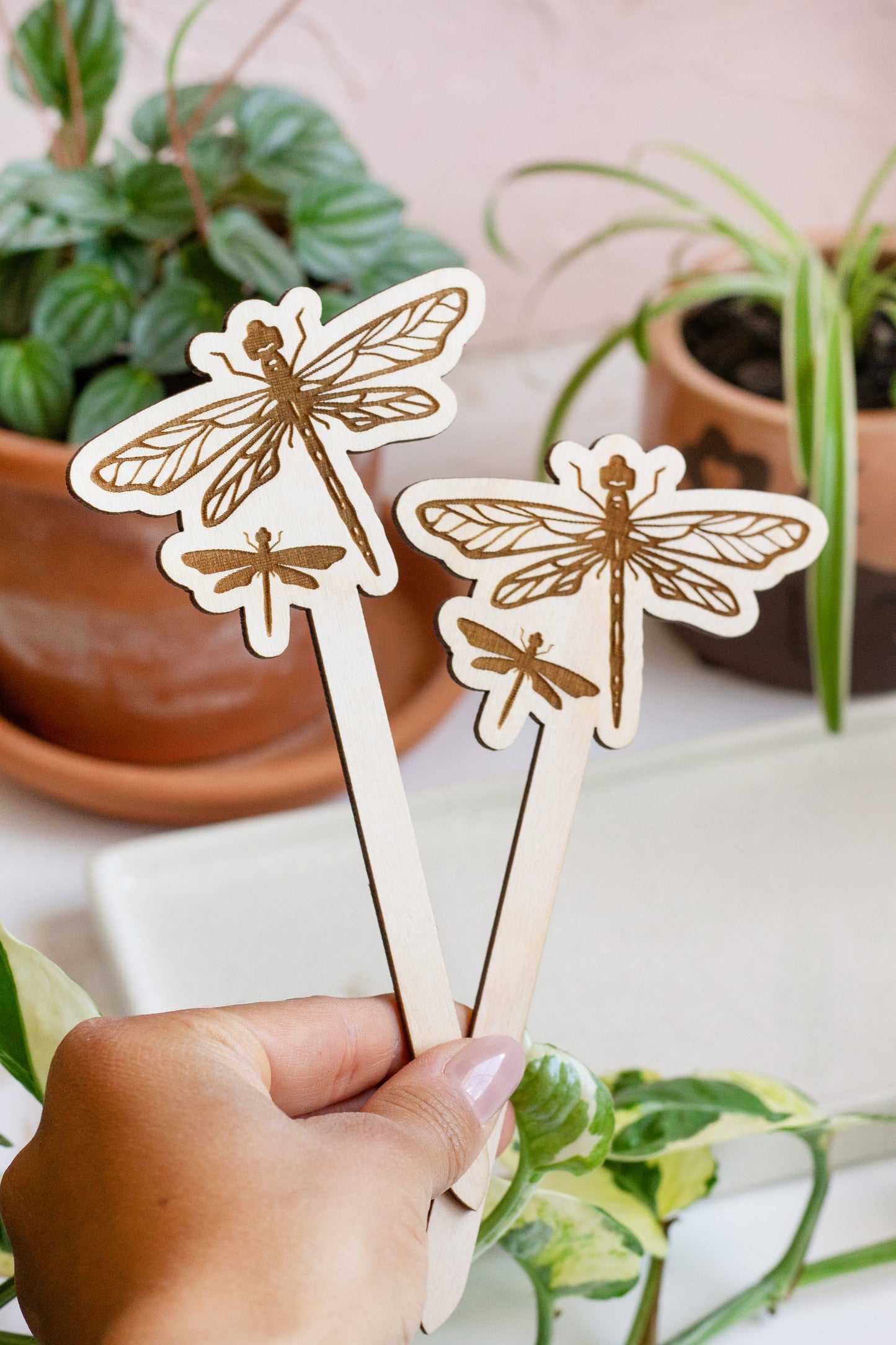 Wooden Dragonfly Garden Marker