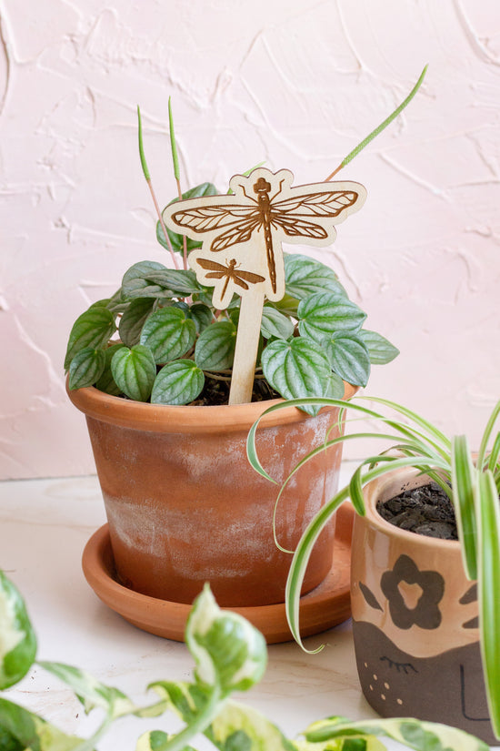 Dragonfly Plant Pick