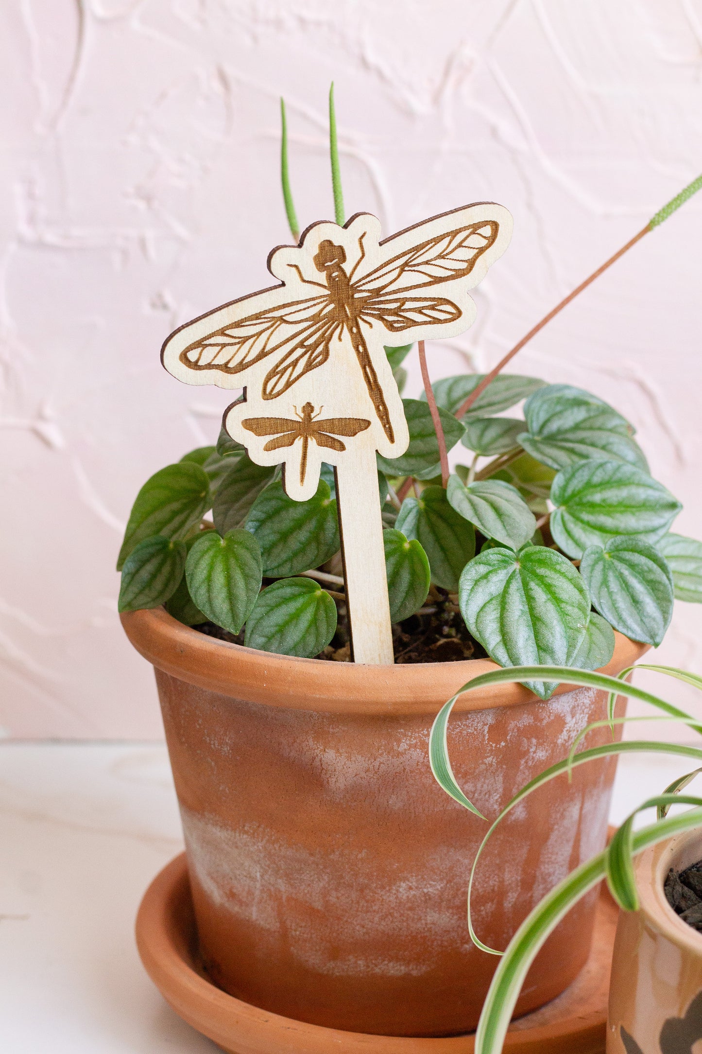 Dragonfly Plant Marker