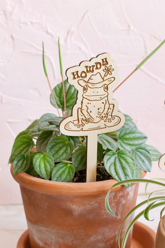 Cowboy Frog Plant Accessory