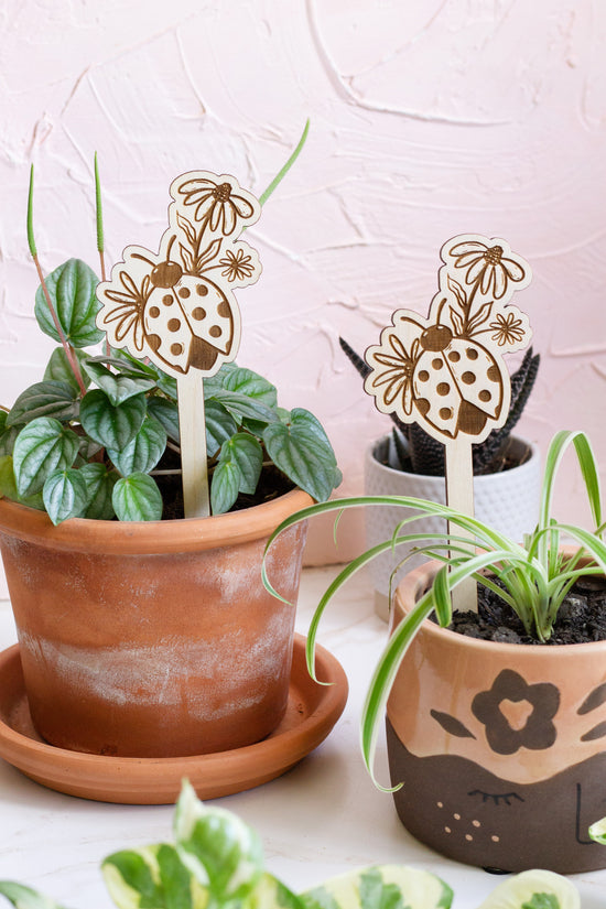 Ladybug Garden Marker