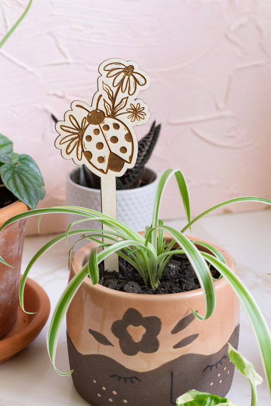 Ladybug Plant Stake