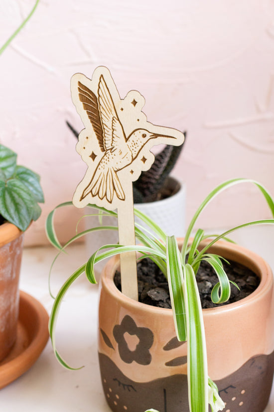 Houseplant Accessories