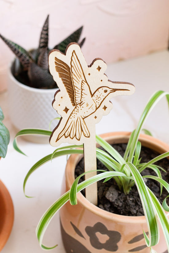 Laser Engraved Plant Markers