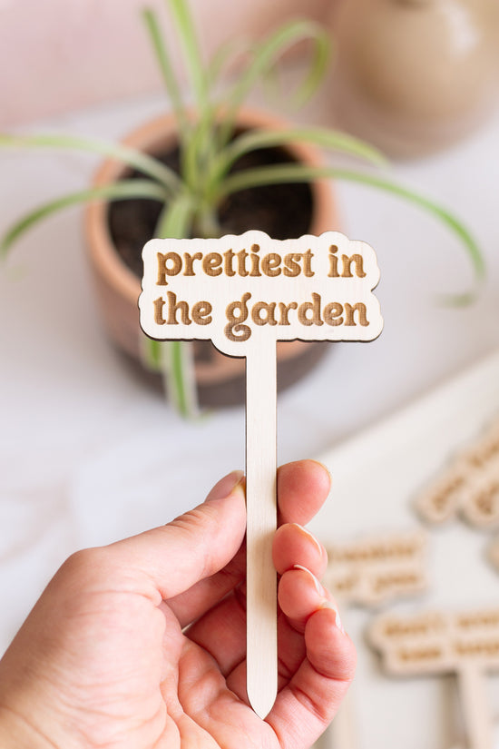 Wooden Plant Stakes