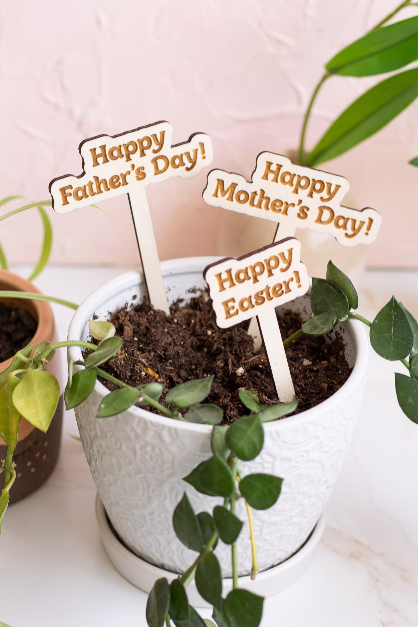 Funny Plant Gifts