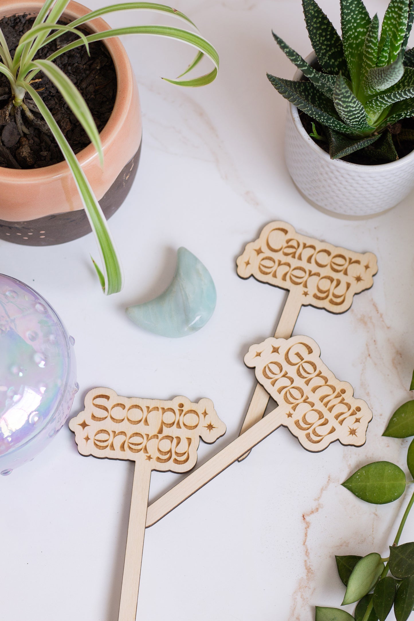 Astrological Sign Plant Markers