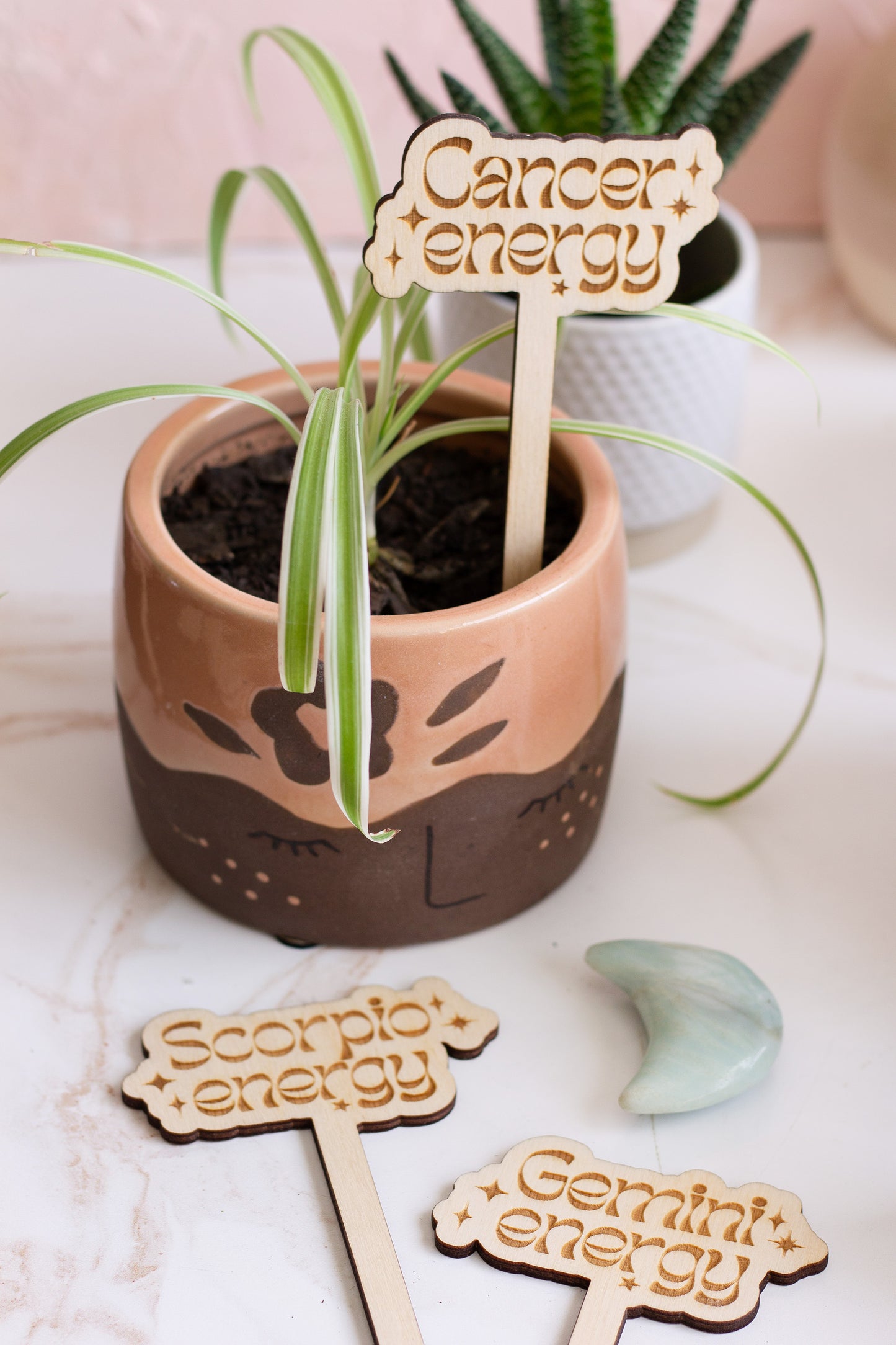 Astrological Sign Plant Accessories