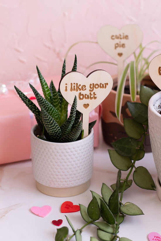 Conversation Heart Plant Markers