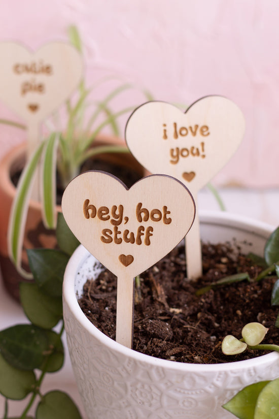 Valentine's Day Plant Stakes