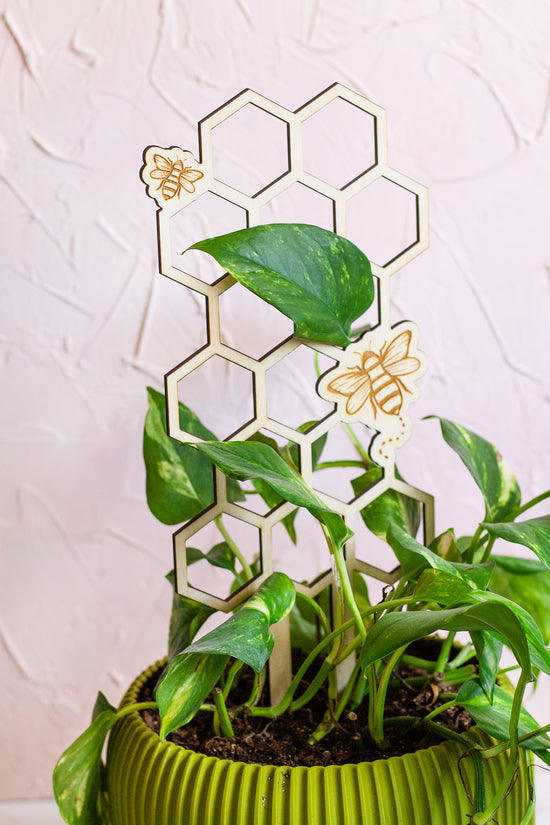 Honeycomb Wooden Plant Trellis