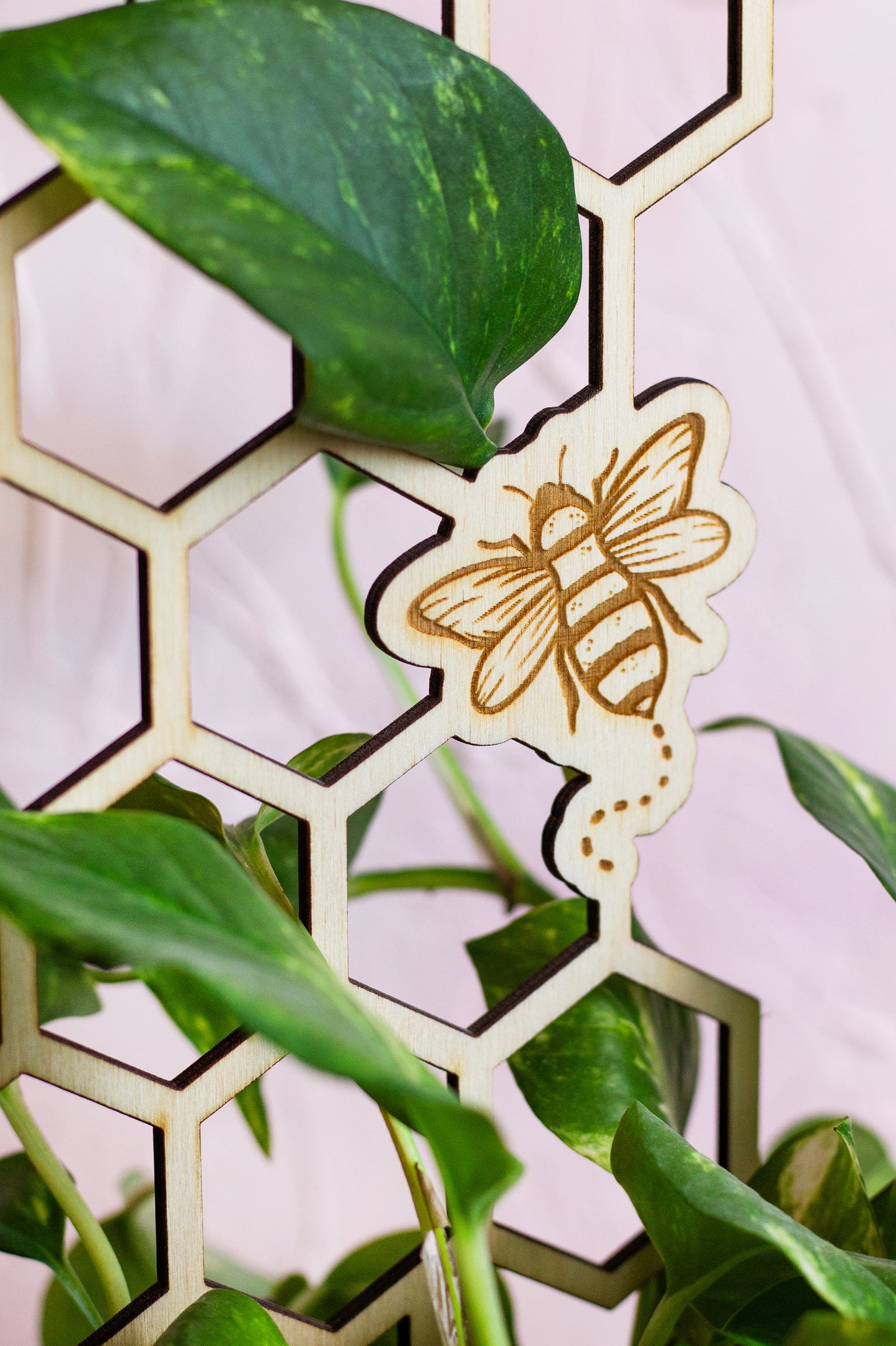 Honeycomb Wooden Plant Trellis