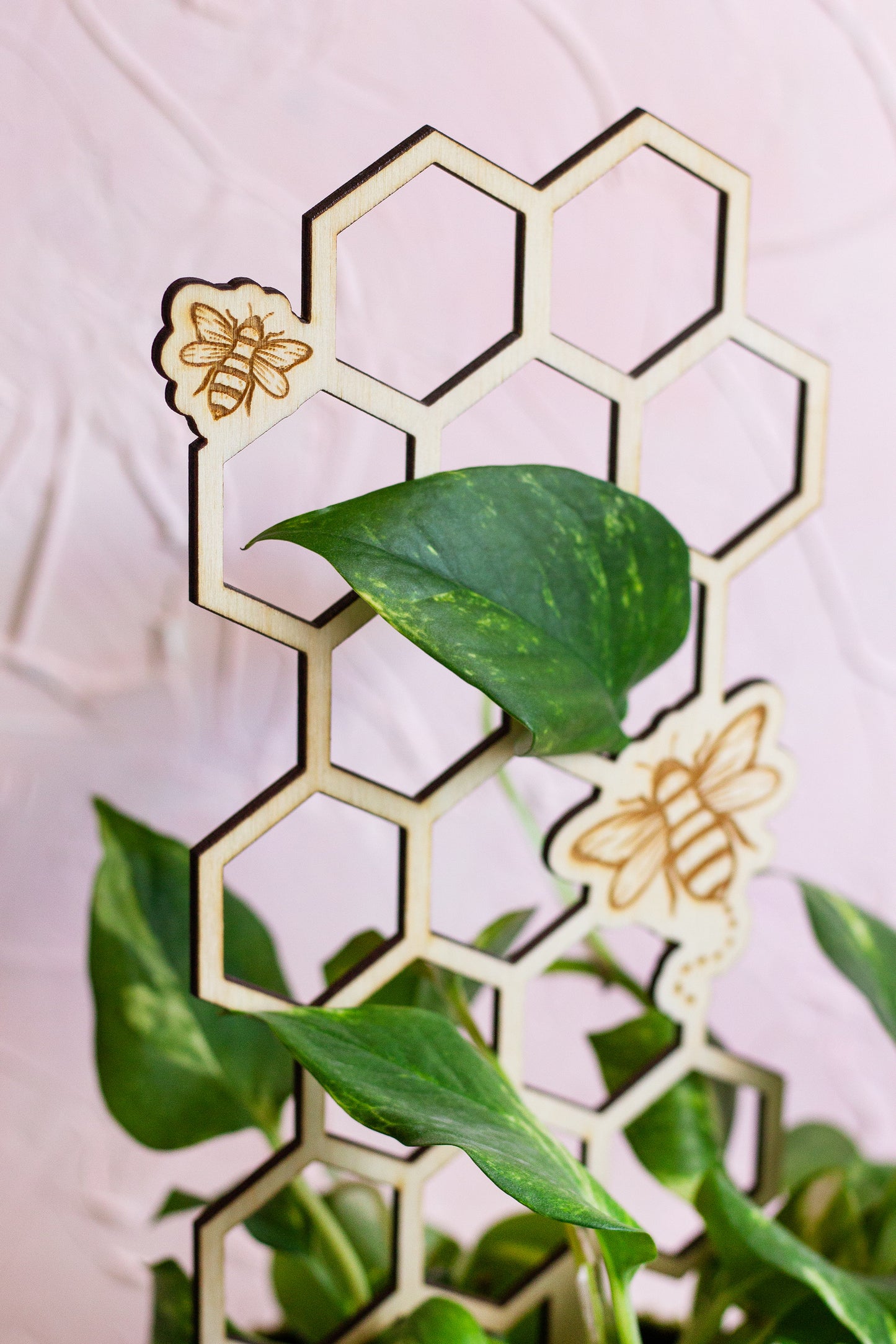 Honeycomb Wooden Plant Trellis