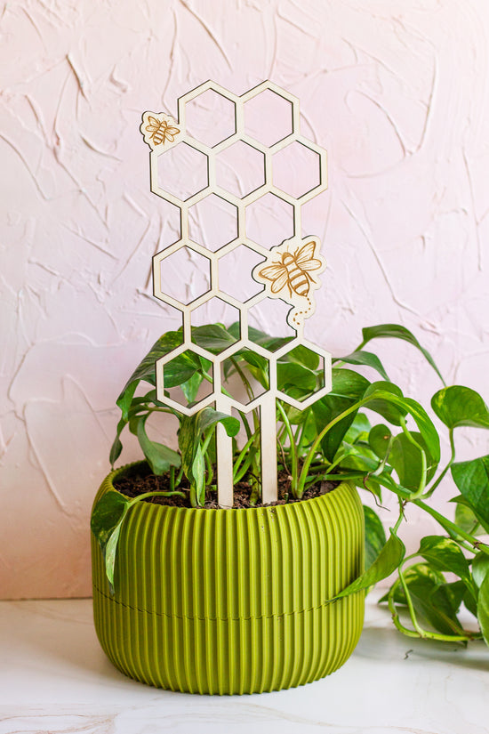 hexagon plant trellis Honeycomb Wooden Plant Trellis – The Print Pantry