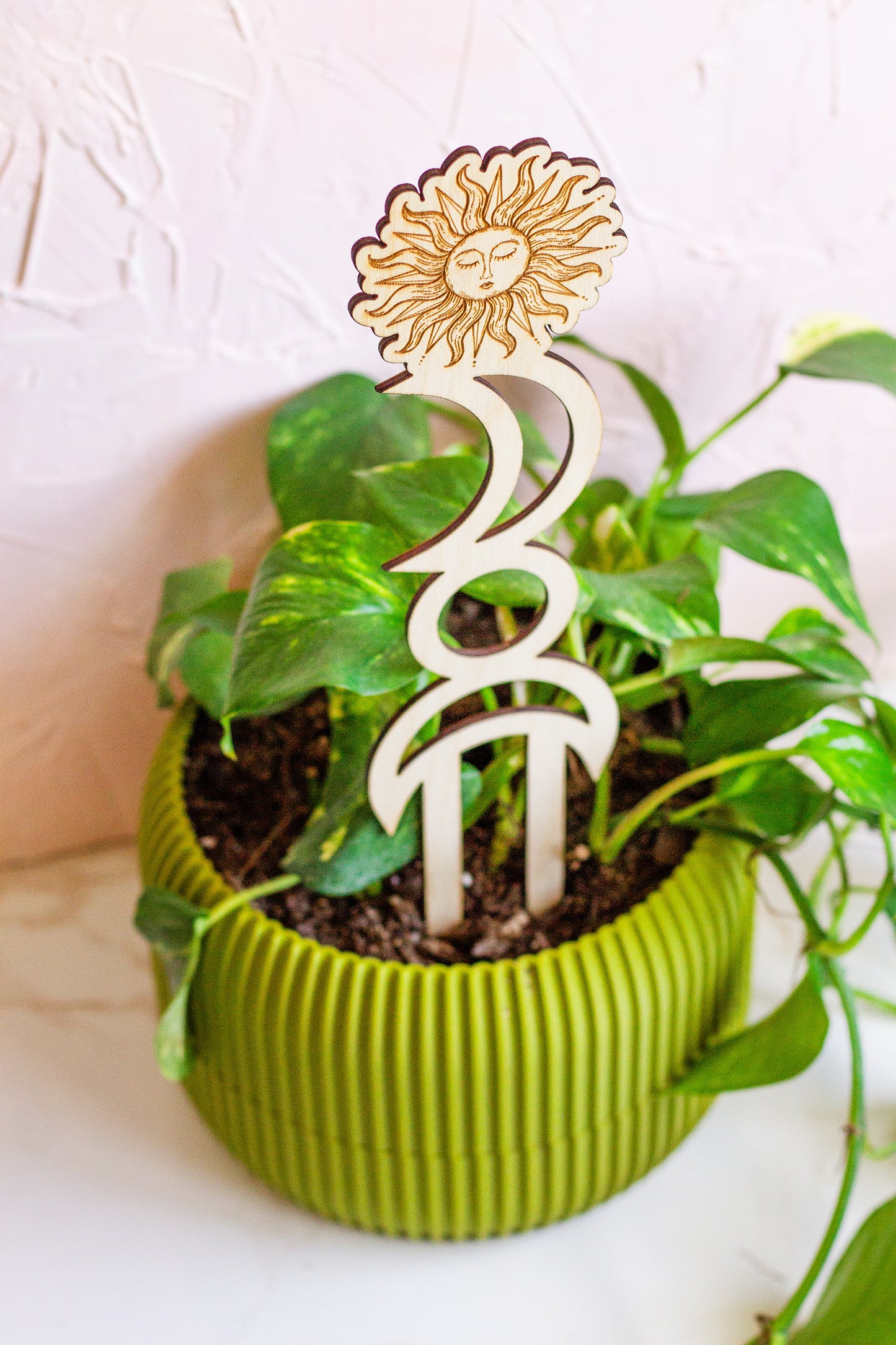 Sun and Moon Wooden Plant Trellis
