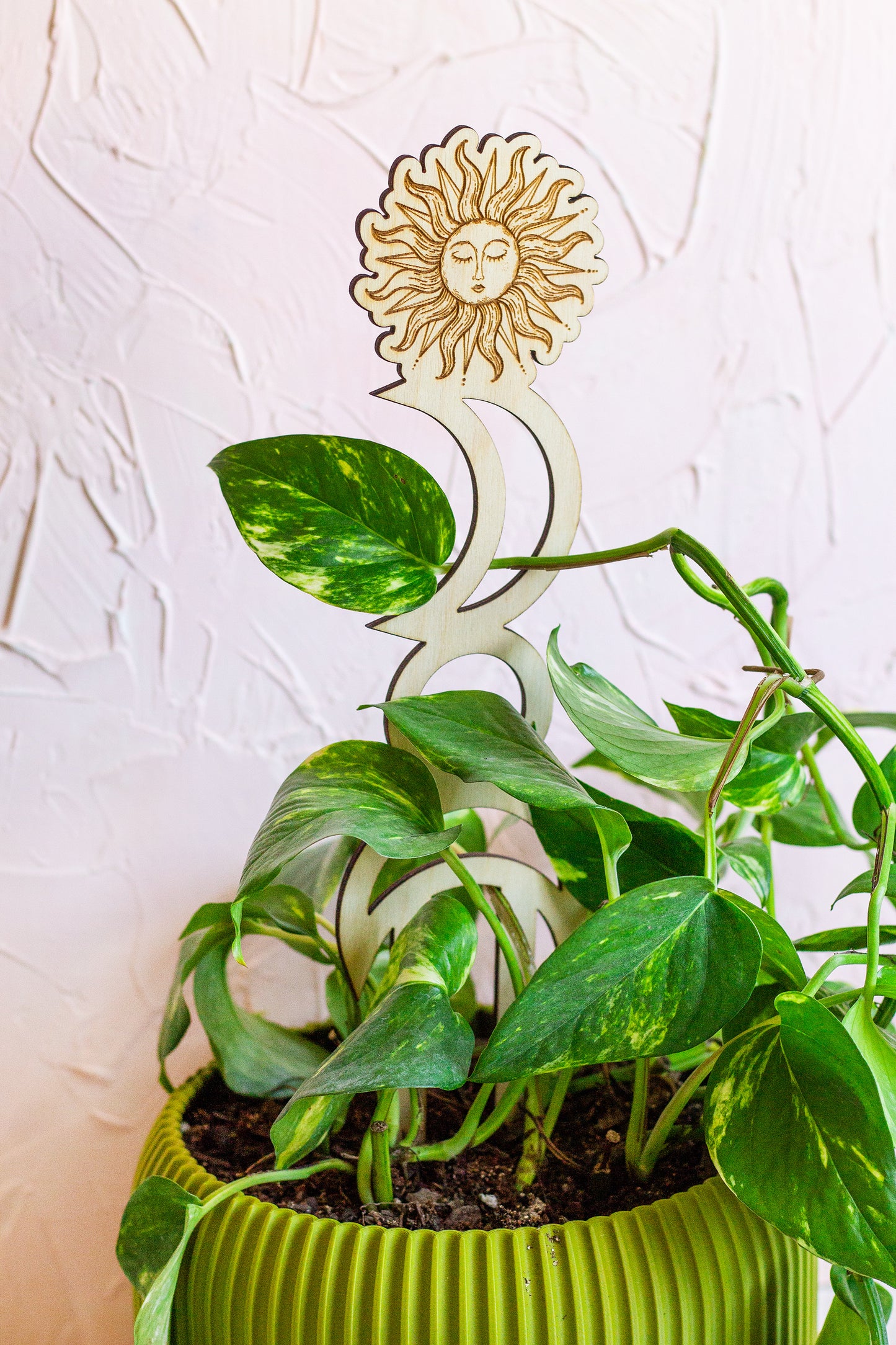 Sun and Moon Wooden Plant Trellis