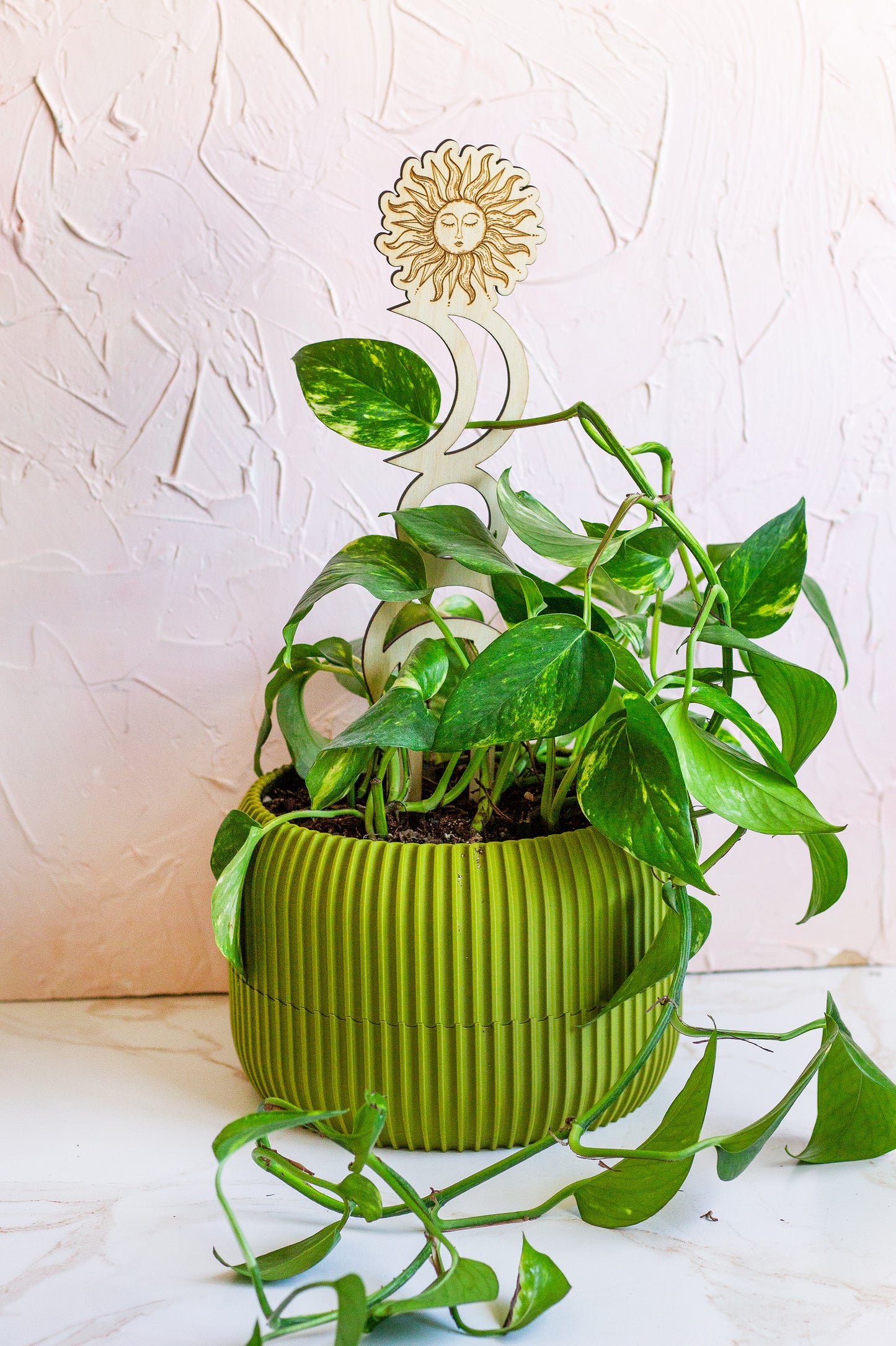 Sun and Moon Wooden Plant Trellis