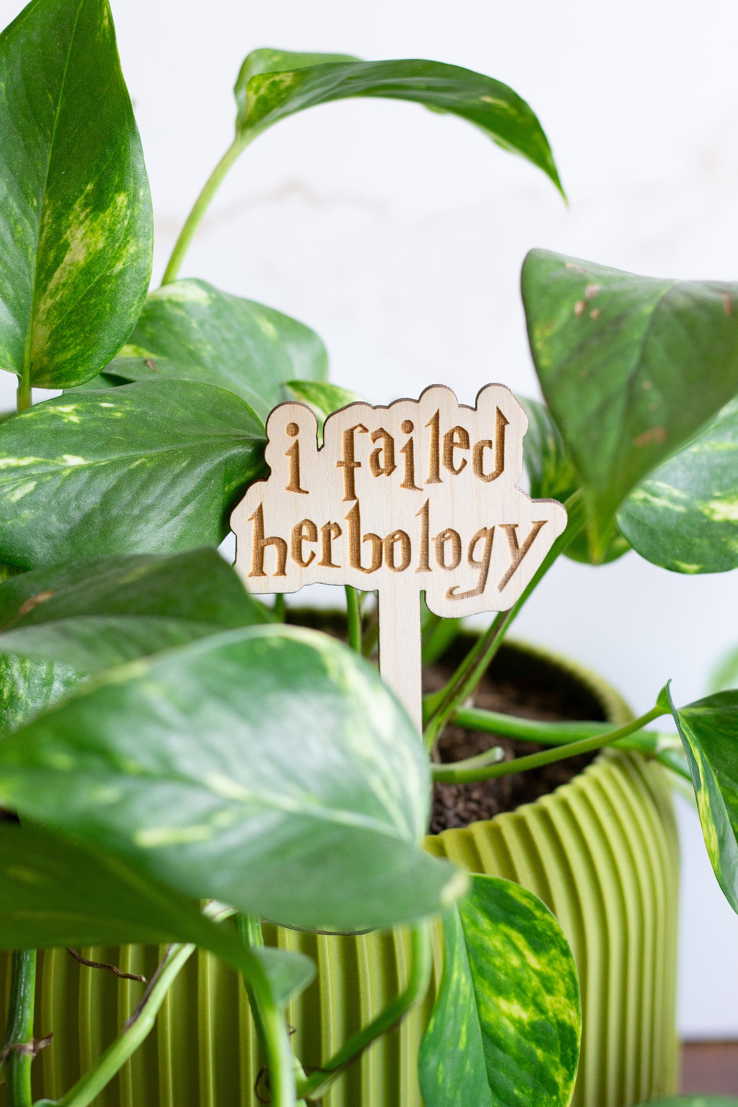 Harry Potter Wooden Plant Markers