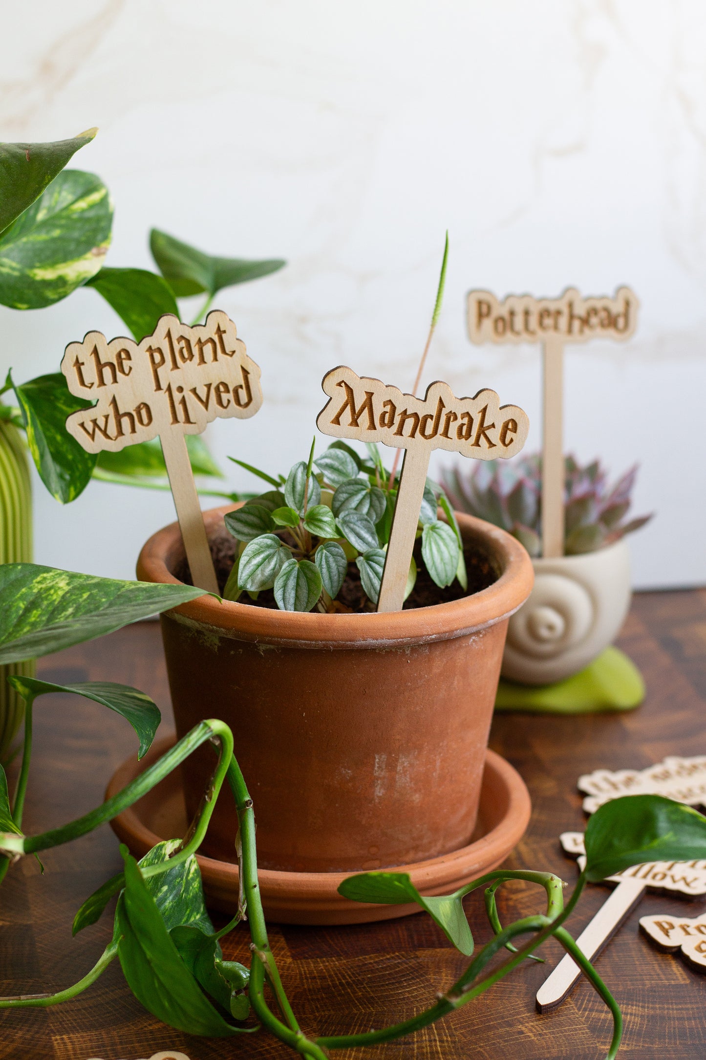 Harry Potter Wooden Plant Markers