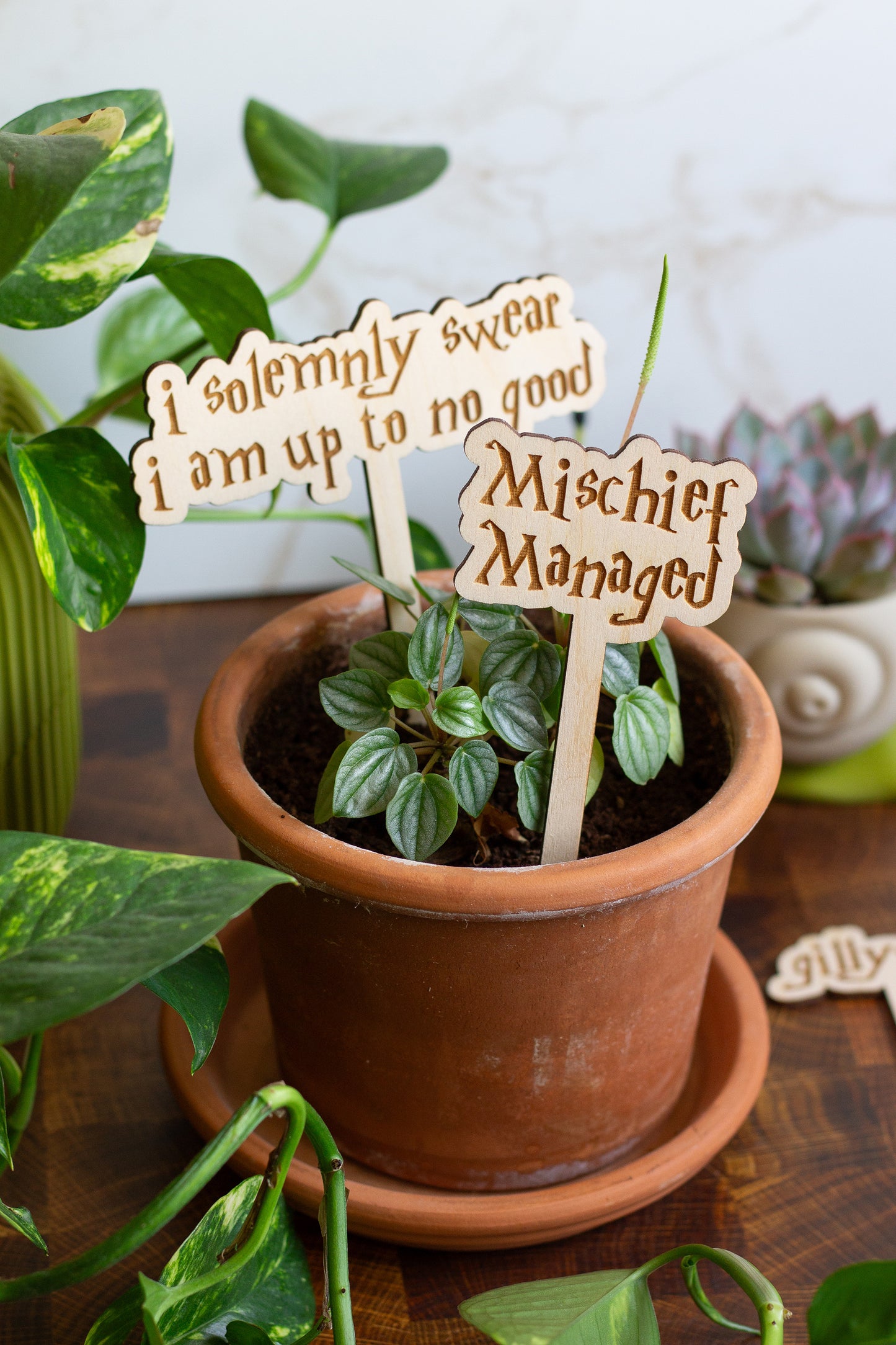 Harry Potter Wooden Plant Markers
