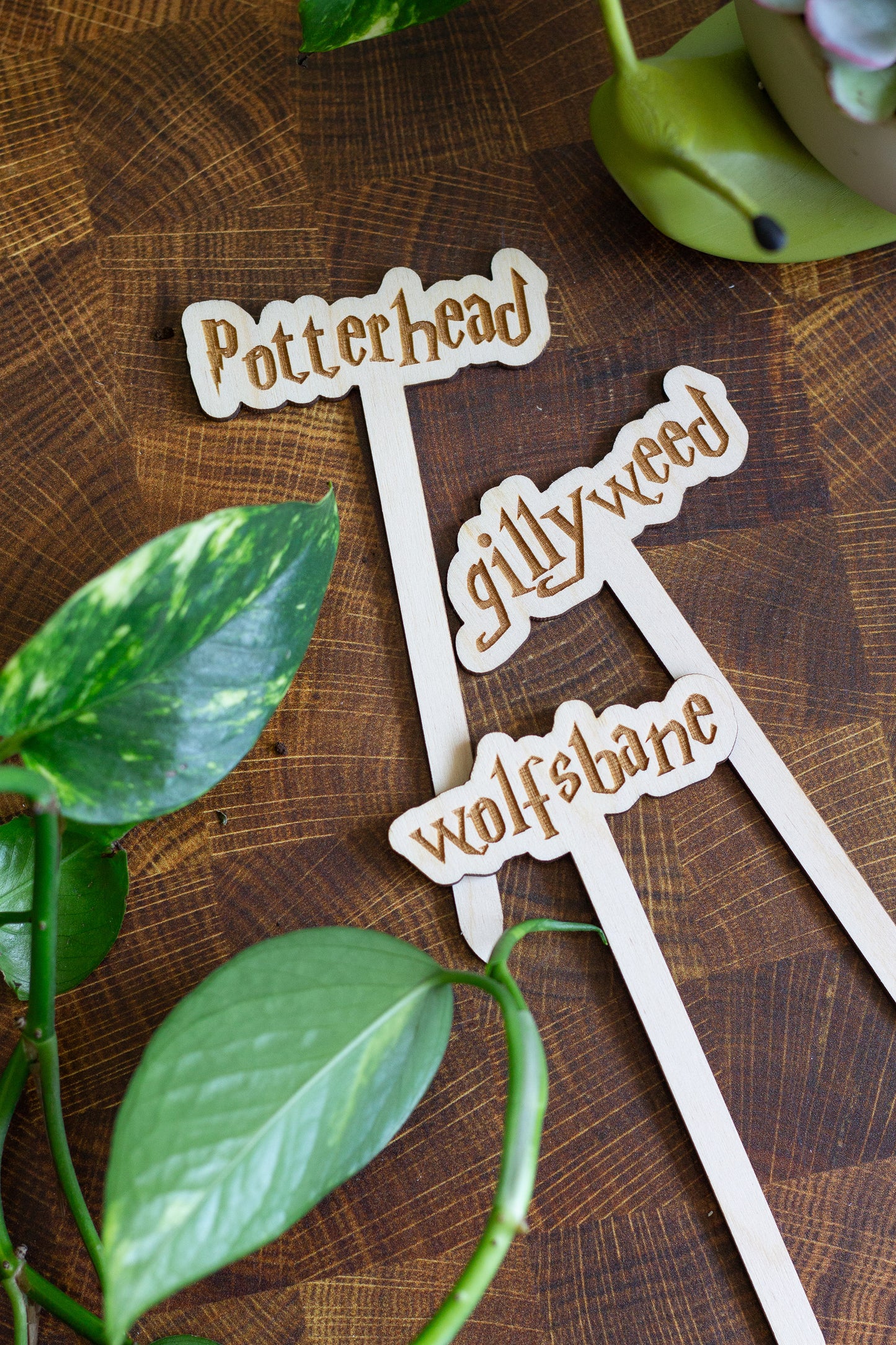 Harry Potter Wooden Plant Markers
