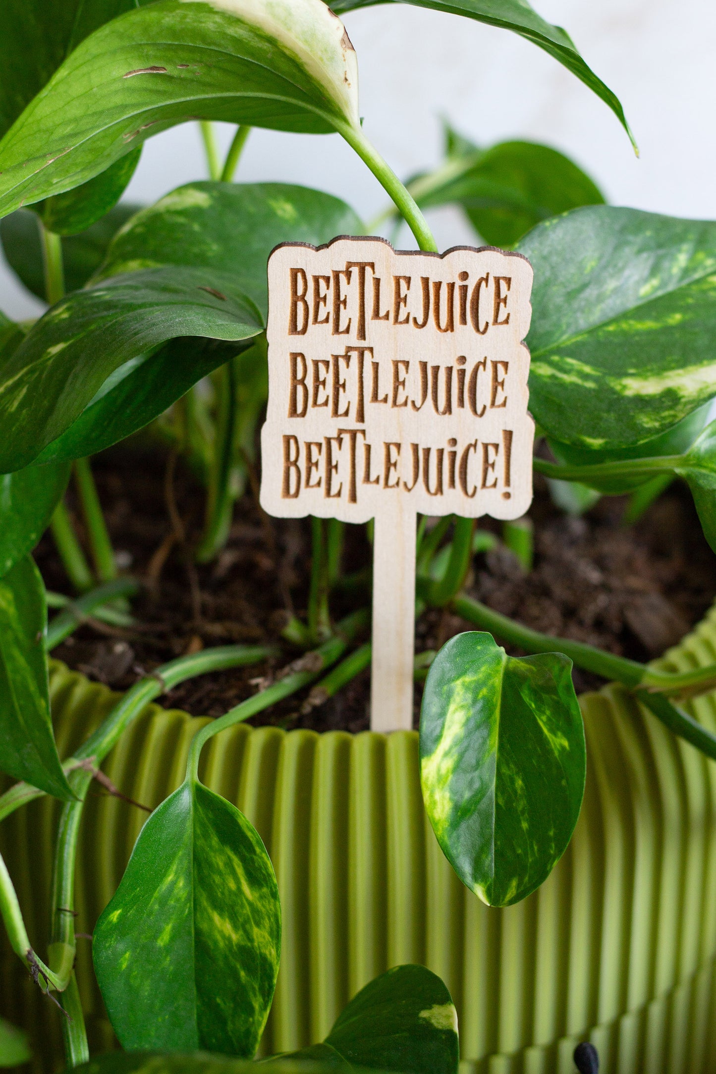 Halloween Wooden Plant Markers