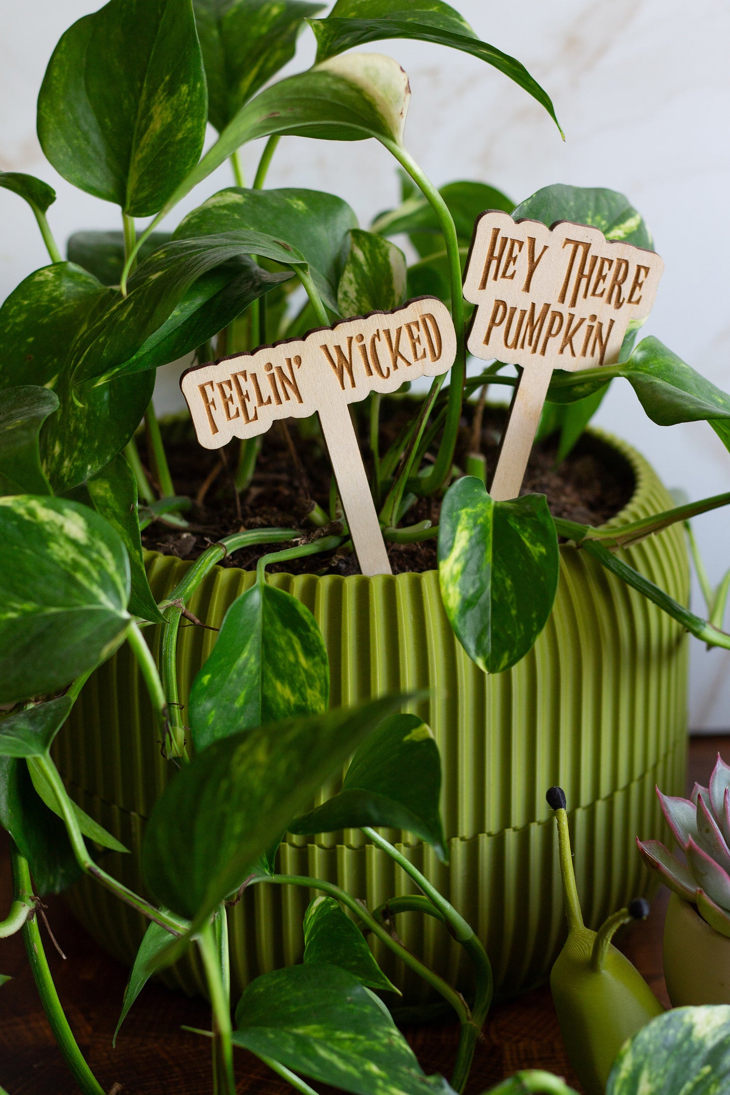 Halloween Wooden Plant Markers