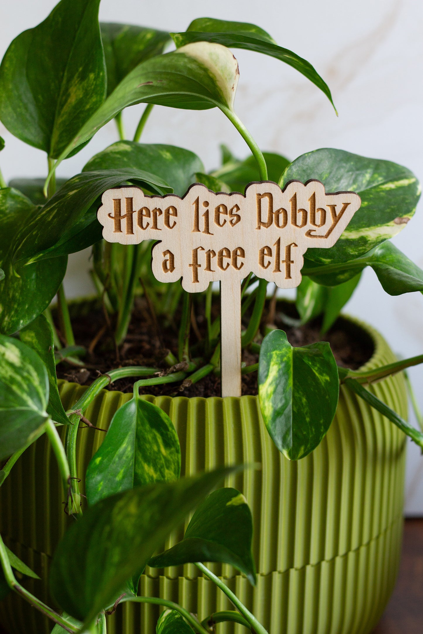 Harry Potter Wooden Plant Markers