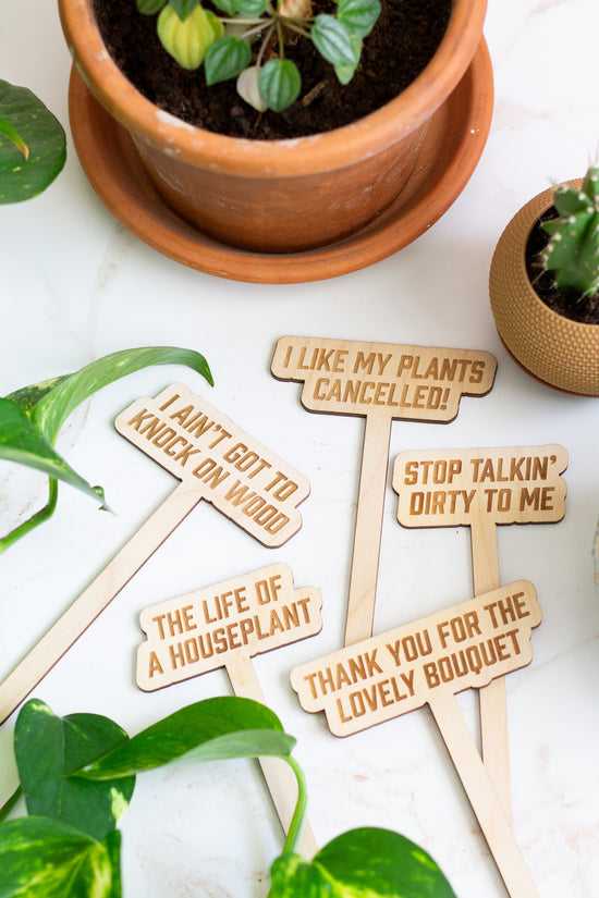 Wooden plant stakes with humorous sayings near potted plants on a white surface