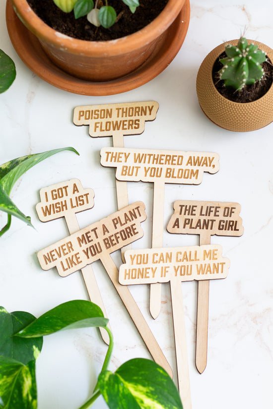 Laser engraved wooden plant stakes